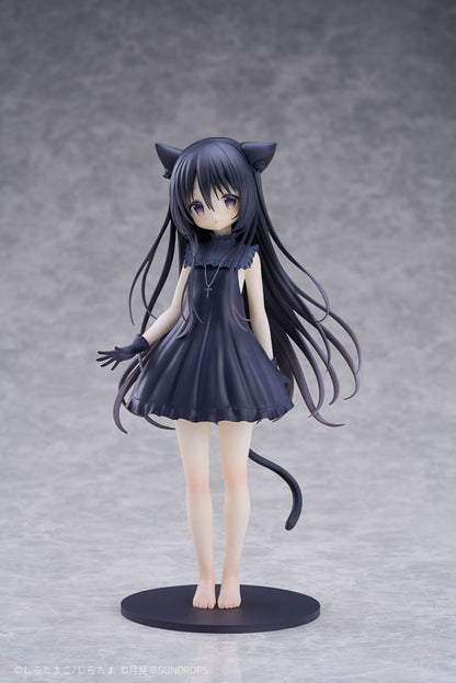 [Hoshizora Tetsudou to Shiro no Tabi] Noir 1/7 Complete Figure