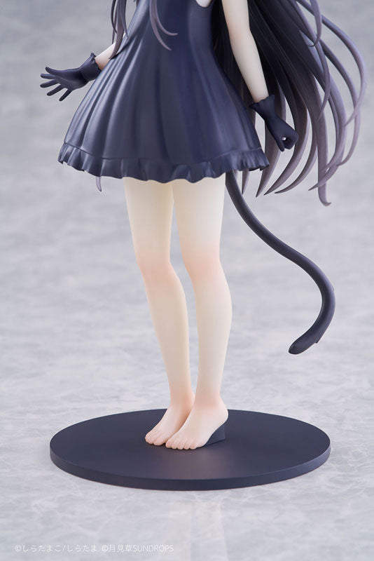 [Hoshizora Tetsudou to Shiro no Tabi] Noir 1/7 Complete Figure