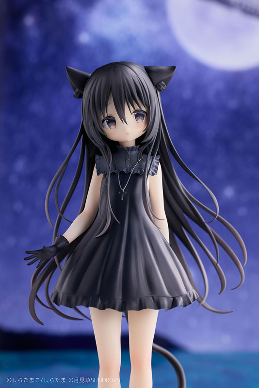 [Hoshizora Tetsudou to Shiro no Tabi] Noir 1/7 Complete Figure