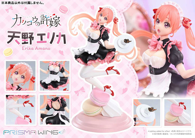 [A Couple of Cuckoos] Erika Amano - 1/7 Complete Figure