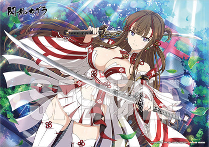 [Shinobi Master Senran Kagura: New Link] Toki - Bikini Armor Ver. Figure