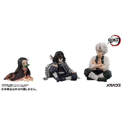 G.E.M. Series [Demon Slayer: Kimetsu no Yaiba] Palm Size Shinazugawa-san Complete Figure