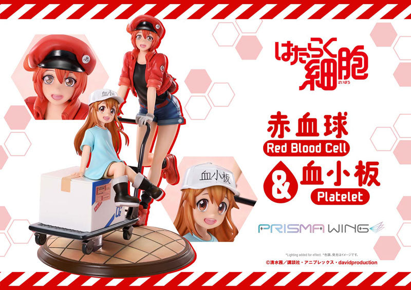PRISMA WING [Cells at Work] Red Blood Cell & Platelet Non Scale Complete Figure