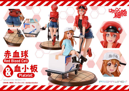 PRISMA WING [Cells at Work] Red Blood Cell & Platelet Non Scale Complete Figure