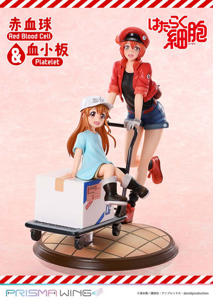 PRISMA WING [Cells at Work] Red Blood Cell & Platelet Non Scale Complete Figure