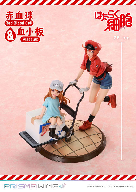 PRISMA WING [Cells at Work] Red Blood Cell & Platelet Non Scale Complete Figure