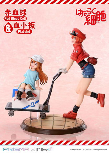 PRISMA WING [Cells at Work] Red Blood Cell & Platelet Non Scale Complete Figure