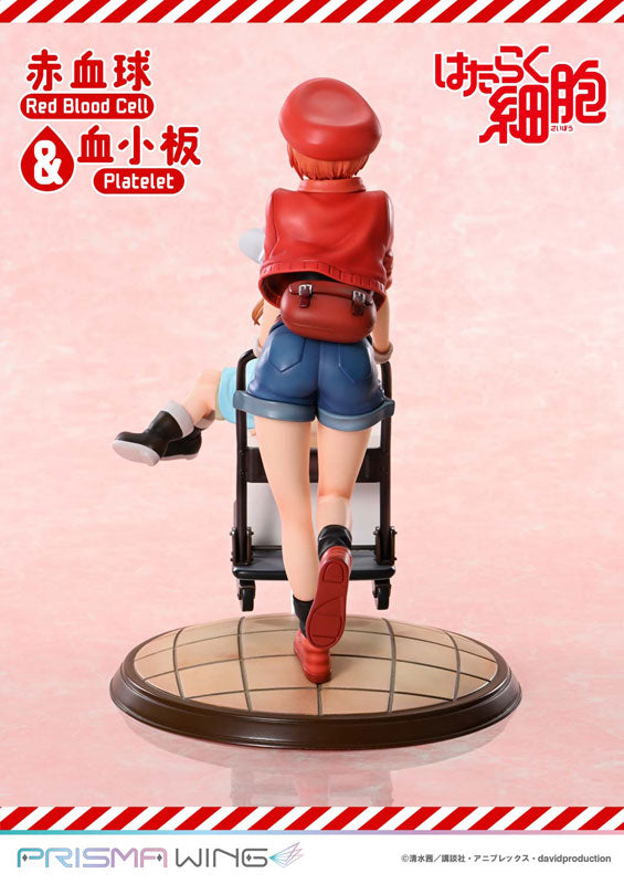 PRISMA WING [Cells at Work] Red Blood Cell & Platelet Non Scale Complete Figure
