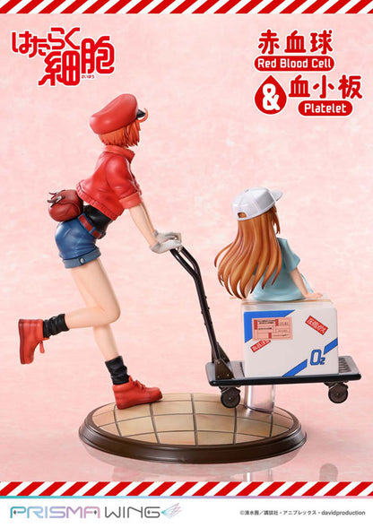 PRISMA WING [Cells at Work] Red Blood Cell & Platelet Non Scale Complete Figure