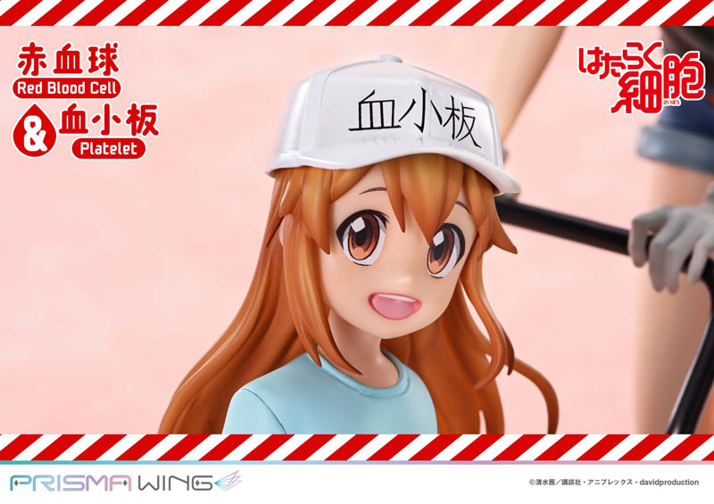 PRISMA WING [Cells at Work] Red Blood Cell & Platelet Non Scale Complete Figure