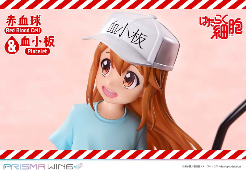PRISMA WING [Cells at Work] Red Blood Cell & Platelet Non Scale Complete Figure
