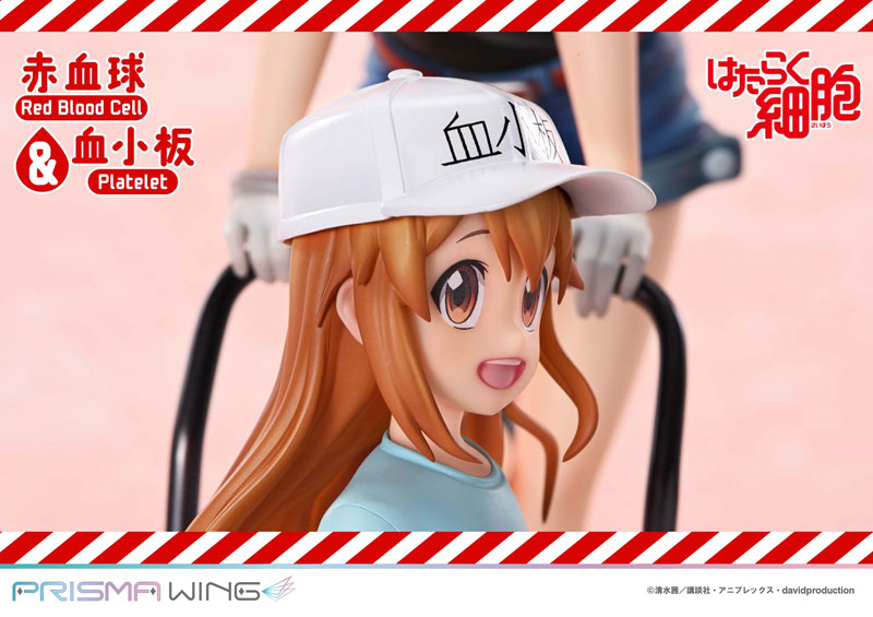 PRISMA WING [Cells at Work] Red Blood Cell & Platelet Non Scale Complete Figure