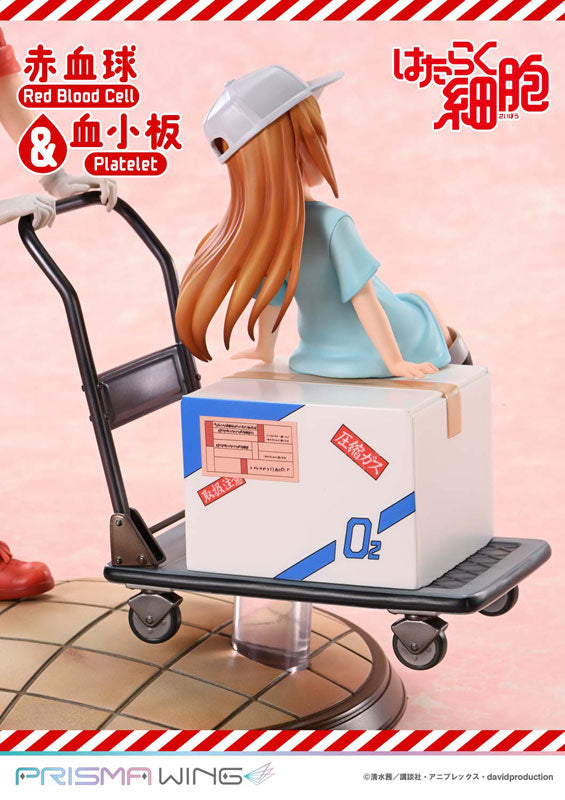 PRISMA WING [Cells at Work] Red Blood Cell & Platelet Non Scale Complete Figure
