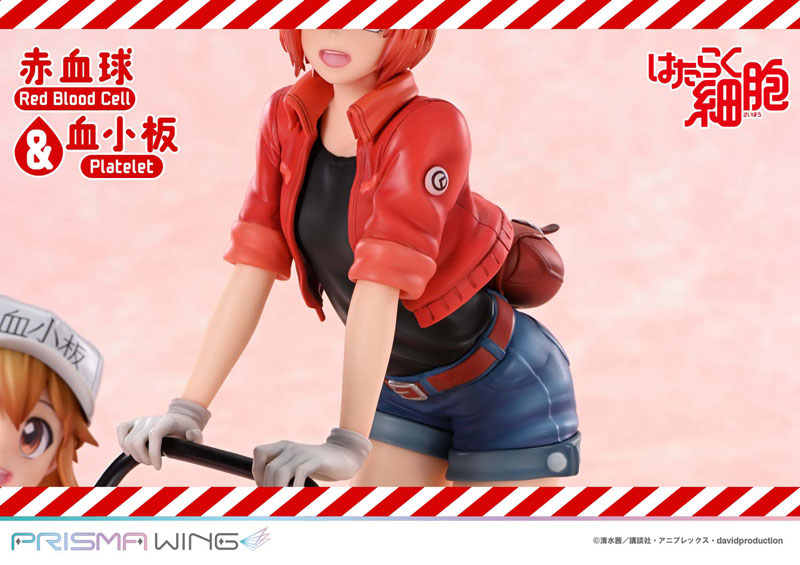 PRISMA WING [Cells at Work] Red Blood Cell & Platelet Non Scale Complete Figure