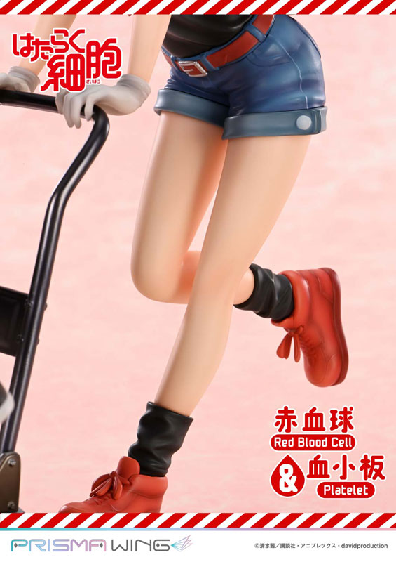 PRISMA WING [Cells at Work] Red Blood Cell & Platelet Non Scale Complete Figure