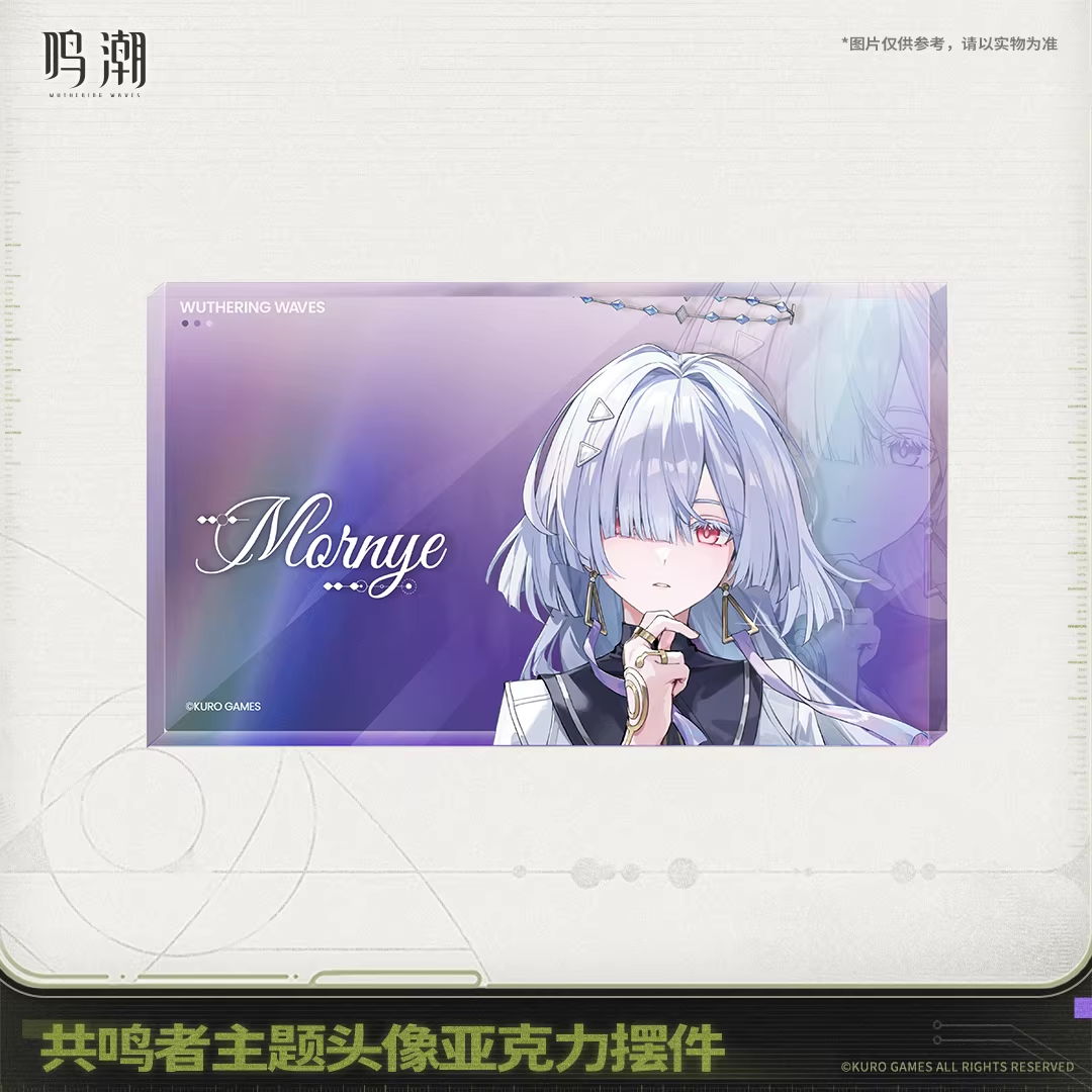 Acrylic Ornement [Wuthering Waves] - We Who See The Stars